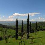 Toskana - typische Landschaft mit Zypressen